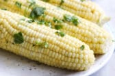 4 ears of corn on a white plate.